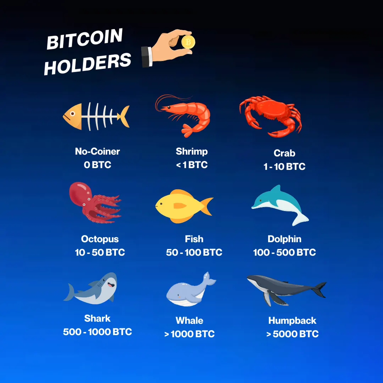 What is a Crypto Whale & How to Track it?